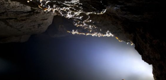 Di tengah hamparan hijau dan megahnya Gunung Ijen di Jawa Timur, tersembunyi sebuah gua misterius yang dikenal dengan nama Gua Buto. Tempat ini bukan sekadar rongga batu biasa, melainkan sarat dengan sejarah, legenda, dan misteri yang mengundang rasa penasaran dan ketakutan. Gua Buto, yang dalam bahasa Jawa berarti "Gua Raksasa", telah menjadi bagian dari cerita rakyat dan mitos masyarakat sekitar selama berabad-abad. Kisah-kisah tentang makhluk gaib, harta karun terpendam, dan kutukan yang menyelimuti gua ini terus terwariskan dari generasi ke generasi, menjadikan Gua Buto sebagai destinasi wisata yang unik dan penuh teka-teki. Sejarah dan Penemuan Gua Buto Jejak sejarah Gua Buto terjalin erat dengan keberadaan Gunung Ijen. Gunung berapi ini telah menjadi saksi bisu peradaban manusia sejak zaman purba. Bukti arkeologis menunjukkan bahwa kawasan Gunung Ijen telah dihuni oleh manusia prasejarah. Berbagai situs purbakala, seperti situs purbakala di lereng Gunung Ijen yang menyimpan artefak zaman Neolitikum, menjadi bukti nyata kehidupan manusia di masa lampau. Gua Buto sendiri, diperkirakan telah ada sejak zaman prasejarah. Rongga gua yang terbentuk secara alami ini diyakini telah digunakan sebagai tempat berlindung dan bermukim oleh manusia purba. Penemuan artefak di dalam gua, seperti alat batu dan sisa-sisa tulang hewan, semakin memperkuat teori ini. Namun, keberadaan Gua Buto baru benar-benar dikenal luas pada abad ke-19. Pada masa penjajahan Belanda, Gua Buto menjadi objek penelitian para ahli geologi dan arkeolog. Mereka tertarik untuk menyelidiki isi gua dan mencari tahu sejarah dan misteri yang tersembunyi di dalamnya. Salah satu ahli geologi Belanda yang pernah meneliti Gua Buto adalah Prof. Dr. Johannes van der Goes. Dalam catatan penelitiannya, ia menyebutkan bahwa Gua Buto merupakan gua vulkanik yang terbentuk akibat aktivitas vulkanik Gunung Ijen. Ia juga menemukan jejak-jejak peradaban manusia purba di dalam gua, seperti lukisan dinding dan fosil tulang. Penemuan Prof. van der Goes ini semakin mengukuhkan status Gua Buto sebagai situs sejarah dan budaya yang penting. Sejak saat itu, Gua Buto menjadi objek wisata yang menarik perhatian wisatawan lokal maupun mancanegara. Legenda dan Mitos tentang Gua Buto Keberadaan Gua Buto tidak hanya menarik minat para ilmuwan, tetapi juga memicu lahirnya berbagai legenda dan mitos di masyarakat sekitar. Cerita-cerita tentang makhluk gaib, harta karun terpendam, dan kutukan yang menyelimuti gua ini menjadi bagian tak terpisahkan dari budaya masyarakat Bondowoso. Salah satu legenda yang paling populer tentang Gua Buto adalah kisah tentang Buto Ijo. Konon, Buto Ijo adalah makhluk gaib yang menghuni Gua Buto. Ia digambarkan sebagai makhluk bertubuh besar, berwarna hijau, dan memiliki kekuatan supranatural. Buto Ijo diyakini menjaga harta karun yang terpendam di dalam gua. Legenda lain menyebutkan bahwa Gua Buto merupakan tempat bersemayamnya Nyi Roro Kidul, ratu penguasa laut selatan dalam mitos Jawa. Konon, Nyi Roro Kidul sering muncul di sekitar Gua Buto dalam wujud seorang wanita cantik berpakaian hijau. Ia diyakini memiliki kekuatan magis yang mampu mengendalikan alam dan menghukum siapa saja yang berani mengusiknya. Mitos tentang kutukan yang menyelimuti Gua Buto juga berkembang di masyarakat. Konon, siapa saja yang memasuki gua tanpa izin akan terkena kutukan dan mengalami nasib buruk. Bahkan, ada yang percaya bahwa di dalam gua terdapat Kerajaan Gaib, tempat tinggal para makhluk halus dan jin. Misteri Tersembunyi di Gua Buto Kebenaran di balik legenda dan mitos tentang Gua Buto masih menjadi misteri. Beberapa orang percaya bahwa kisah-kisah tersebut hanyalah dongeng belaka, sementara yang lain menganggapnya sebagai kenyataan. Seiring berjalannya waktu, berbagai peristiwa aneh dan misterius terjadi di sekitar Gua Buto. Ada laporan tentang penampakan makhluk gaib, hilangnya orang, dan suara-suara aneh yang terdengar dari dalam gua. Peristiwa-peristiwa ini semakin menambah misteri dan aura mistis yang menyelimuti Gua Buto. Beberapa ahli paranormal dan penjelajah gua telah mencoba mengungkap misteri Gua Buto. Mereka melakukan penelitian dan eksplorasi di dalam gua, namun hingga saat ini belum ada bukti ilmiah yang dapat menjelaskan secara pasti fenomena-fenomena aneh yang terjadi. Pengaruh Gua Buto terhadap Budaya Lokal Keberadaan Gua Buto tidak hanya meninggalkan jejak sejarah dan misteri, tetapi juga memiliki pengaruh yang signifikan terhadap budaya masyarakat Bondowoso. Gua Buto menjadi inspirasi bagi para seniman lokal untuk menciptakan karya seni, seperti kesenian tradisional, musik, dan sastra. Kisah-kisah tentang Buto Ijo, Nyi Roro Kidul, dan kutukan Gua Buto menjadi bahan cerita rakyat yang diwariskan dari generasi ke generasi. Gua Buto juga menjadi sumber inspirasi bagi para pengrajin lokal untuk menciptakan kerajinan tangan, seperti patung, ukiran, dan kain tenun. Motif-motif yang terinspirasi dari Gua Buto, seperti motif Buto Ijo dan Nyi Roro Kidul, menjadi ciri khas kerajinan tangan Bondowoso. Selain itu, Gua Buto juga menjadi objek wisata yang menarik perhatian wisatawan lokal maupun mancanegara. Keunikan sejarah, legenda, dan misteri Gua Buto menjadi daya tarik tersendiri bagi para wisatawan yang ingin merasakan pengalaman wisata yang unik dan penuh teka-teki. Eksplorasi dan Penelitian di Gua Buto Meskipun sarat dengan mitos dan misteri, Gua Buto tetap menjadi objek penelitian dan eksplorasi bagi para ahli sejarah, arkeolog, dan paranormal. Para ahli sejarah dan arkeolog tertarik untuk meneliti jejak-jejak peradaban manusia purba di dalam gua. Mereka berharap dapat menemukan artefak dan bukti-bukti yang dapat mengungkap sejarah dan budaya manusia purba di kawasan Gunung Ijen. Para ahli paranormal, di sisi lain, tertarik untuk menyelidiki fenomena-fenomena aneh yang terjadi di sekitar Gua Buto. Mereka berusaha mencari tahu kebenaran di balik legenda dan mitos tentang makhluk gaib dan kutukan yang menyelimuti gua. Eksplorasi dan penelitian di Gua Buto bukan tanpa risiko. Selain bahaya alam, seperti longsor dan banjir, juga terdapat risiko dari makhluk halus yang diyakini menghuni gua. Kesimpulan Gua Buto di Bondowoso merupakan tempat yang sarat dengan sejarah, legenda, dan misteri. Gua ini telah menjadi bagian dari cerita rakyat dan mitos masyarakat sekitar selama berabad-abad. Kisah-kisah tentang makhluk gaib, harta karun terpendam, dan kutukan yang menyelimuti gua ini terus terwariskan dari generasi ke generasi, menjadikan Gua Buto sebagai destinasi wisata yang unik dan penuh teka-teki. Meskipun banyak cerita dan mitos yang berkembang di masyarakat, kebenaran di balik legenda dan misteri Gua Buto masih menjadi teka-teki. Eksplorasi dan penelitian di gua ini masih terus dilakukan, namun hingga saat ini belum ada bukti ilmiah yang dapat menjelaskan secara pasti fenomena-fenomena aneh yang terjadi. Gua Buto tetap menjadi tempat yang menarik minat para ahli sejarah, arkeolog, paranormal, dan wisatawan yang ingin merasakan pengalaman unik dan penuh misteri.